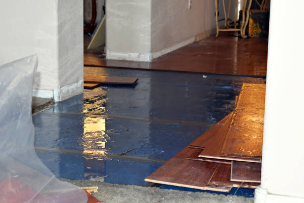 Professional Basement Flood Cleanup technician working in Alpha, NJ